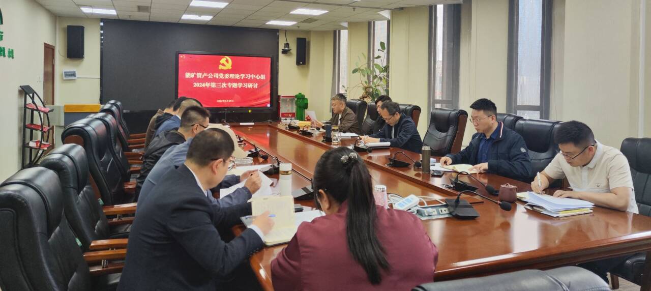 乐天使党委召开2024年第三次党委理论学习中心组专题学习