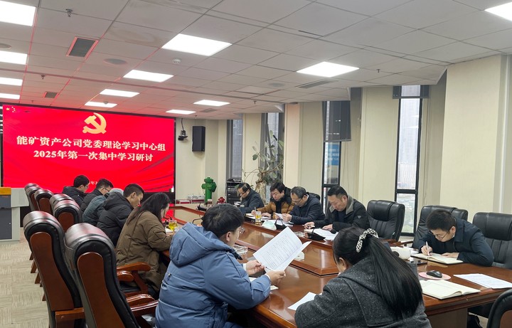 乐天使召开2024年度民主生活会会前集中理论学习暨党委理论学习中心组2025年第一次集中学习会