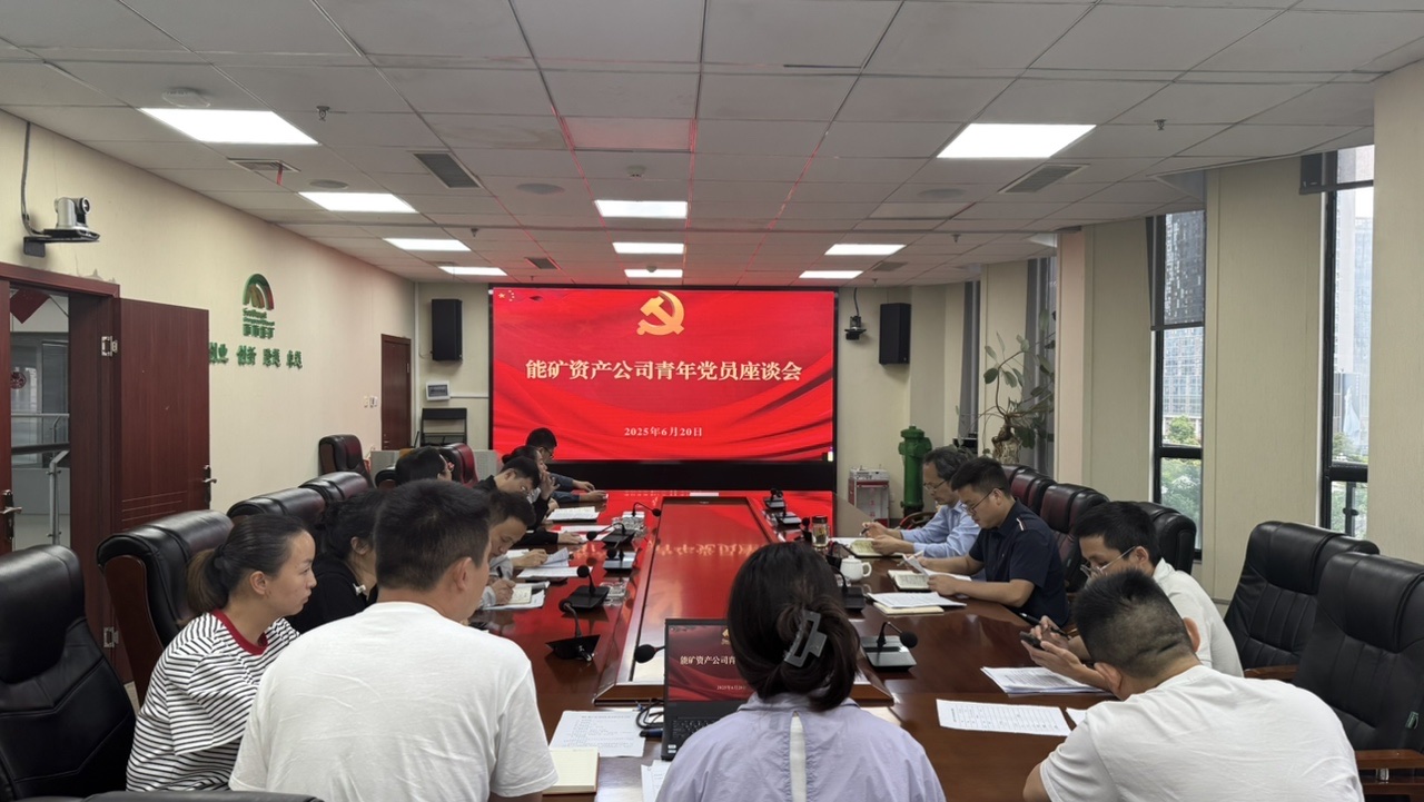 乐天使青年党员深学笃行集团公司干部作风建设标准要求